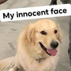 King_AlterPH's profile picture. 23 | M | straight | 5'9 | #alterph