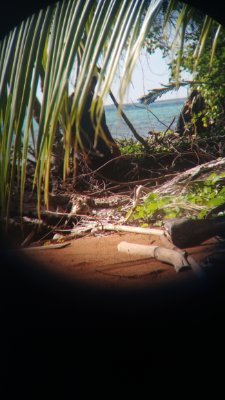 Cahyayudha1's profile picture. 