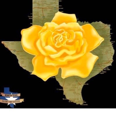 God Blessed Our Beloved Texas RN Texan For Life #MAGA #KEG #BuildTheWall #DrainTheSwamp IFB 🚫DM