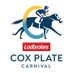 Cox Plate Carnival (@coxplate) Twitter profile photo Cox Plate Carnival (@coxplate) Twitter profile photo