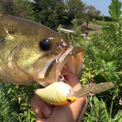 30kawataku's profile picture. 