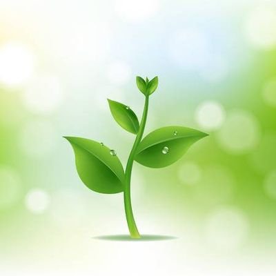 mattZNOoMcpbQdQ's profile picture. 中途半端なまま治療終了。可能性0なのに未だ諦めきれず。地方在住、夫(遠方単身赴任,ED, 精子無力症)の危機感なし＆協力不十分で絶望的。