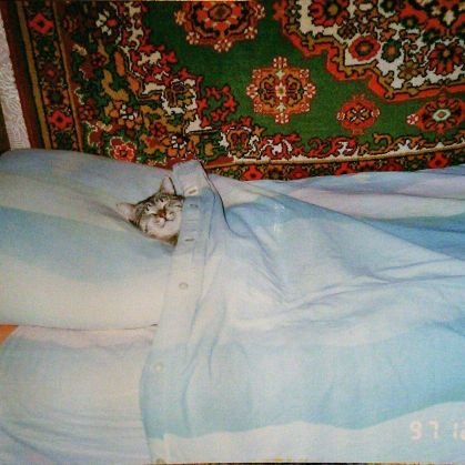 xGabster_81x's profile picture. 