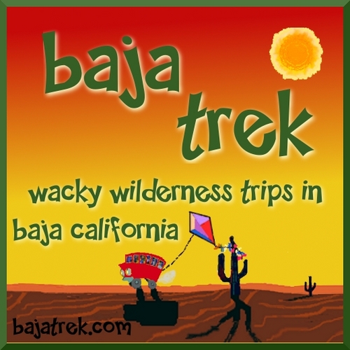 Baja Trek is a green travel concept designed to bring people together through carbon neutral adventure road trips.