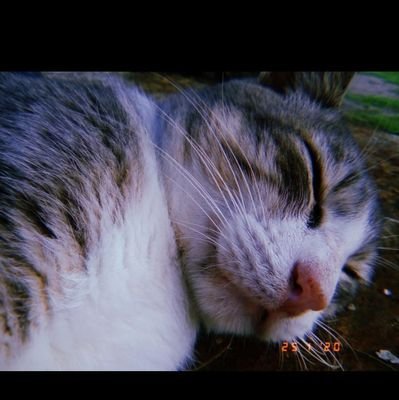 PortelaMarlen's profile picture. 