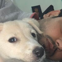 AD (@deswalanuj) 's Twitter Profile