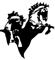 hoashe's profile picture. 