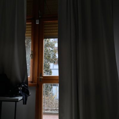 ninjaos0's profile picture. 