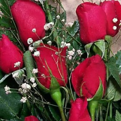 NishaNi96554253's profile picture. 