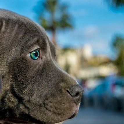 Mbuhsop27674100's profile picture. tidur