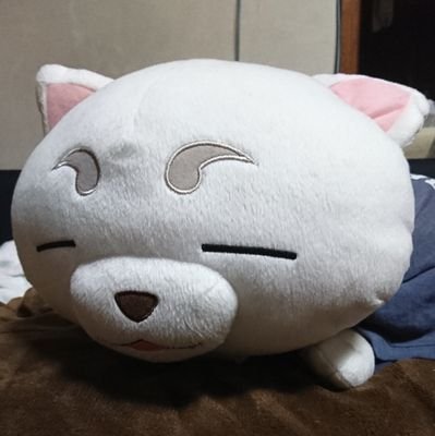 定春 Xgdrciajrdy4o Twitter