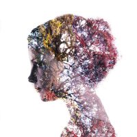 Maryam (@koozeh) 's Twitter Profile