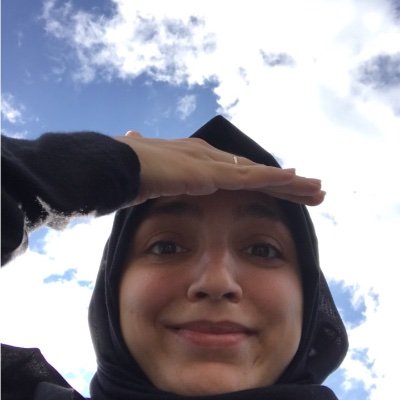 SumeyyeSena6's profile picture. ceteris paribus vs mutatis mutandis