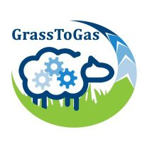 @GrassToGas (@grasstogas) 's Twitter Profile