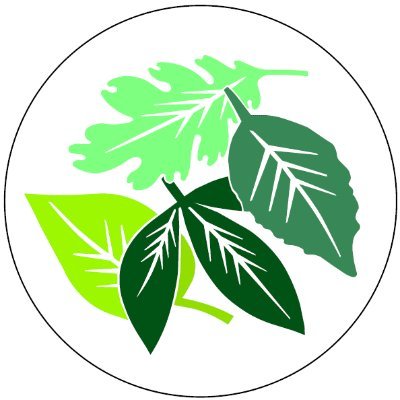 RadleysSchool's profile picture. 