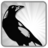 pocketpiesApp's profile image