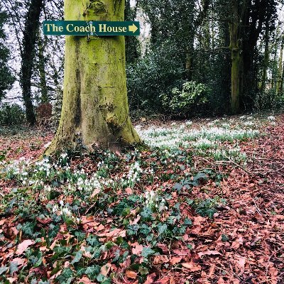 bragborough's profile picture. Our 3 luxury self catering  #Holiday #Cottage #Accommodation set within the beautiful Bragborough Hall Estate on the #Northamptonshire #Warwickshire border