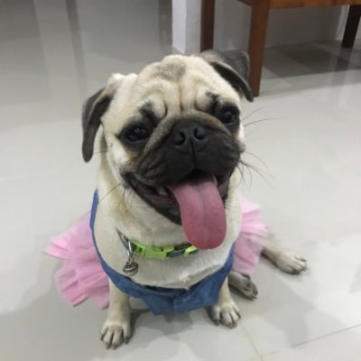 namkangNK's profile picture. ภรรยานายทุนเจย์ปาร์ค เรารู้ ทุกคนรู้ แต่เจย์ปาร์คไม่รู้ 😅