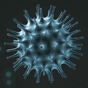 The Coronavirus from China. My children are in my cover picture