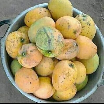 turyahikayobri5's profile picture. Am small man