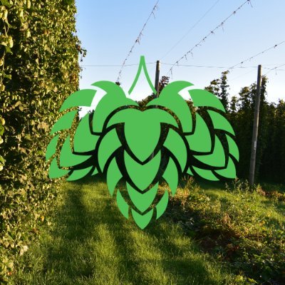 HopsBlue's profile picture. American Hops from the state of Michigan.
