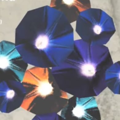 LesBleus01's profile picture. 