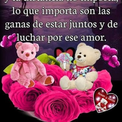 PazYarisbel's profile picture. Profesionalidad