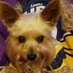 My Wife's Burner Account (@maggie_vikings) Twitter profile photo My Wife's Burner Account (@maggie_vikings) Twitter profile photo
