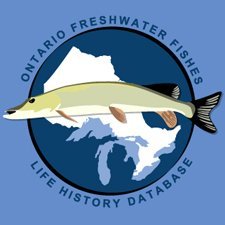 Ontario Freshwater Fishes Life History Database