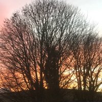 Jame Smytheson (@jamesmytheson) 's Twitter Profile