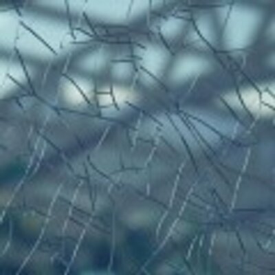 notesfromaroom's profile image
