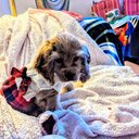 Kathleen Anne Whitton - @KathleenAnneWh2 - Twitter