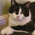 Georgina Turner (@witchyturner) Twitter profile photo Georgina Turner (@witchyturner) Twitter profile photo