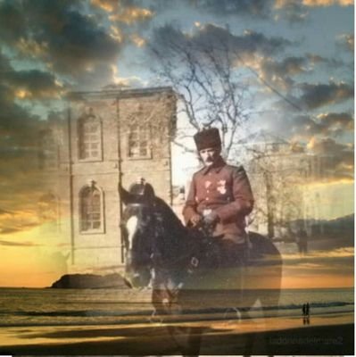 Saiterbil11's profile picture. 