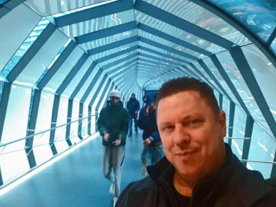 StephenOKeefe14's profile picture. 