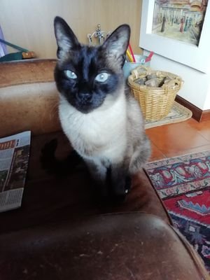 michelriondino's profile picture. 