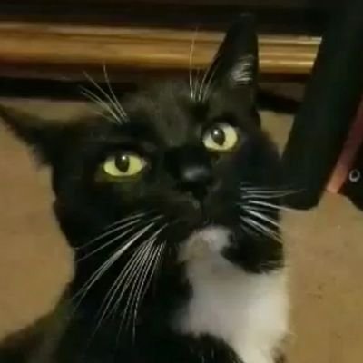 rollerizm's profile picture. here to post