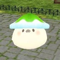 sherlom(シェロム)さんのプロフィール画像