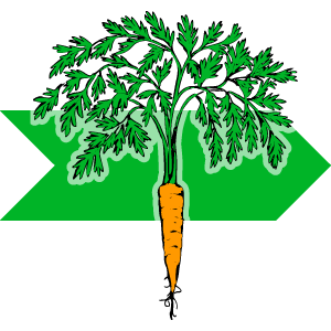 GreenTransTown's profile picture. 