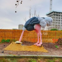 Sijia Yu (@lilya43yu) 's Twitter Profile Photo