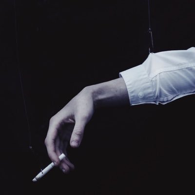 luxuryvn119's profile picture. 