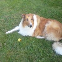 John Potosky (@235john) 's Twitter Profile