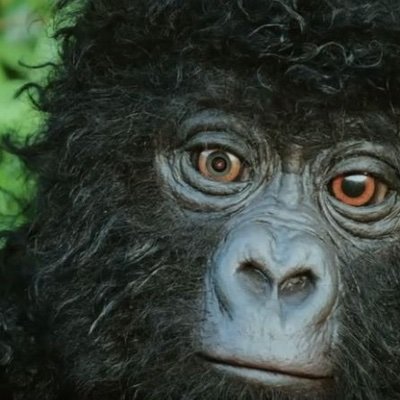 gorillarobotspy Profile Picture