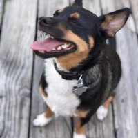 Tripp Walker (@trippwalker4) 's Twitter Profile