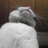 YO_TA_RO's profile image