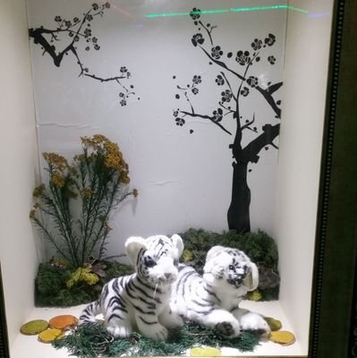 qetR47ZQpuPLDrg's profile picture. ^♥^