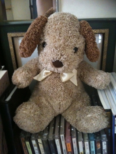 hana1318's profile picture. 우주/항공/한국 및 외국 정치 등