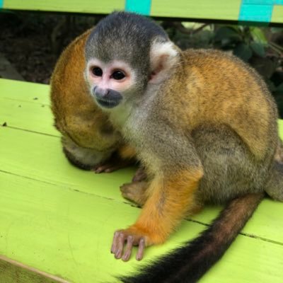 abasuさんのプロフィール画像