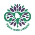 Marea Verde Chihuahua (@mareaverdecuu) Twitter profile photo Marea Verde Chihuahua (@mareaverdecuu) Twitter profile photo