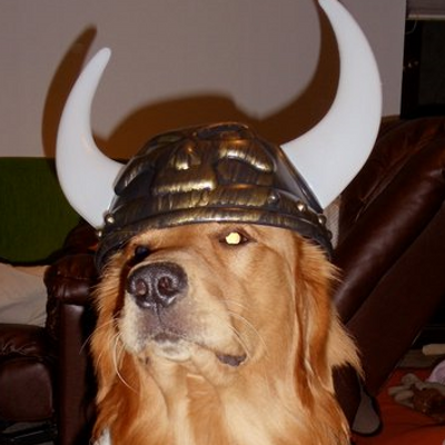 Mr_Aragorn's profile image